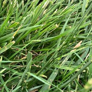 Meet your Posher, Jorge